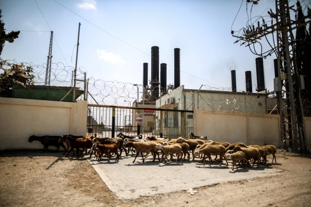غزة.. استمرار إغلاق المعابر يُنذر بتوقف محطة الكهرباء