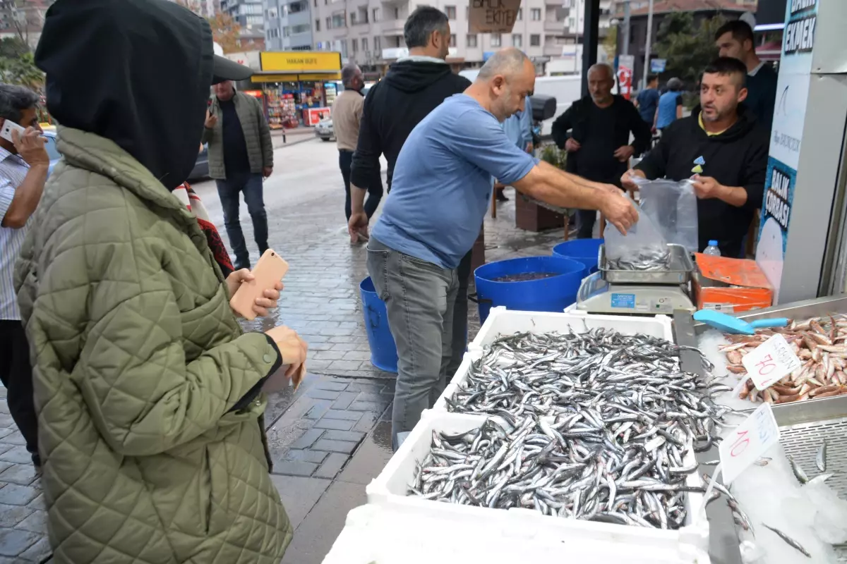 Hamsinin Fiyat Liraya D T Vatanda Lar Tezgahlara Ak N Etti