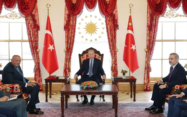 إسطنبول.. الرئيس أردوغان يستقبل وزير الخارجية المصري