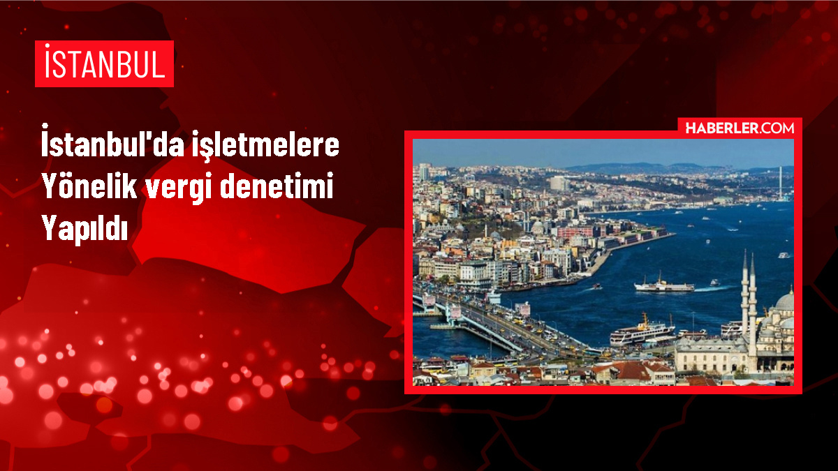 İstanbul'da işletmelere yönelik vergi denetimi yapıldı