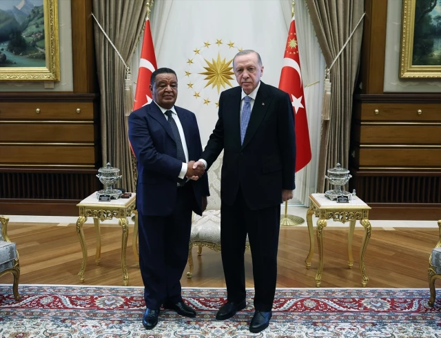 أردوغان يلتقي الرئيس الإثيوبي السابق
