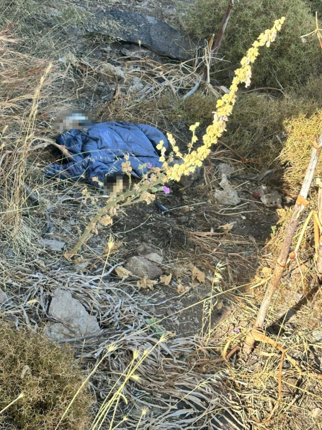 Human skeleton found in mountainous area in Bodrum