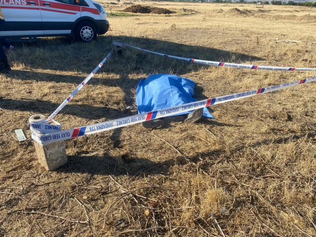 A male body was found in the field in Manisa.