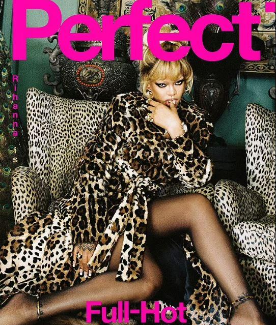 Rihanna gave breathtaking poses for the cover of Perfect Magazine