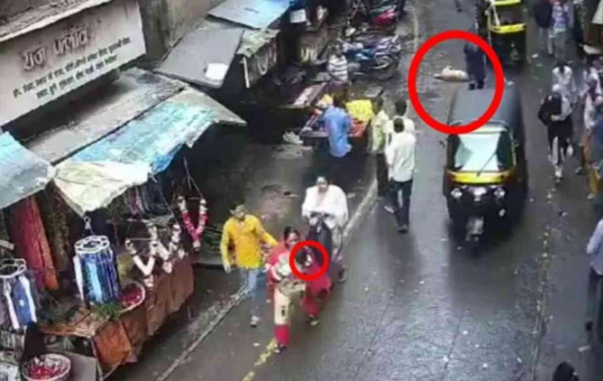 4-year-old girl in India dies after a hunting dog falls on her from the 5th floor