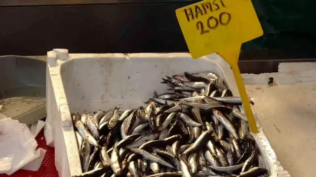 The fish stalls were decorated: After the bonito, the anchovy took its place.