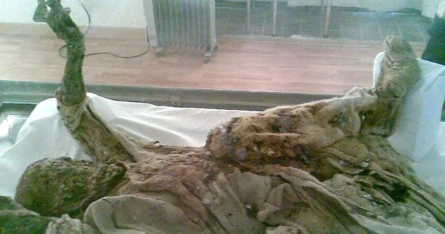 Salt mummies dating back 10,000 years, shedding light on the ancient Persian period, were discovered in Iran