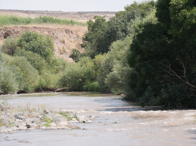 The spot where Narin's lifeless body was found