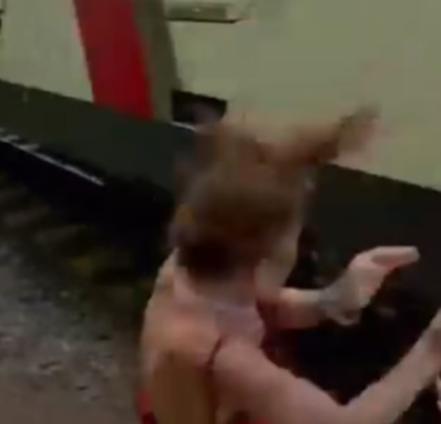 A high-speed train hit a young girl taking a photo near the tracks in Georgia