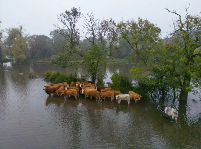 Heavy rains in England paralyzed life: Schools closed, matches postponed