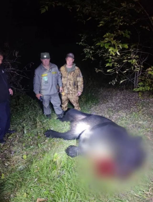 A bear that entered a house at night in Russia killed a father and son