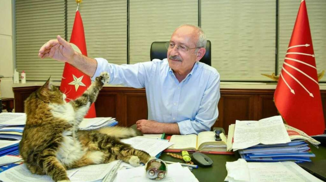 The mascot of CHP, 'Şero', has passed away