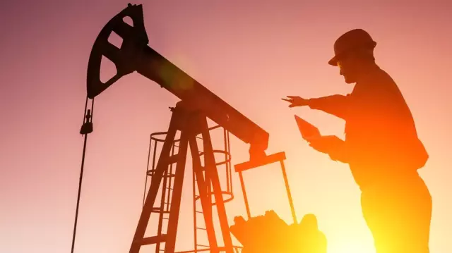 TPAO has added a new field to its oil exploration licenses in Bingöl, Elazığ, and Diyarbakır.