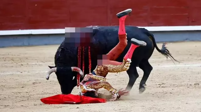 The angry bull seriously injured the young matador it gored from behind.