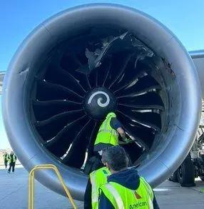 The engine of the aircraft waiting in the parking area in the USA swallowed and shredded the baggage cart