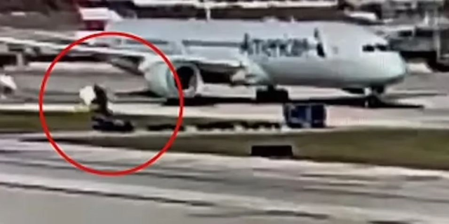 The engine of the aircraft waiting in the parking area in the USA swallowed and shredded the baggage cart