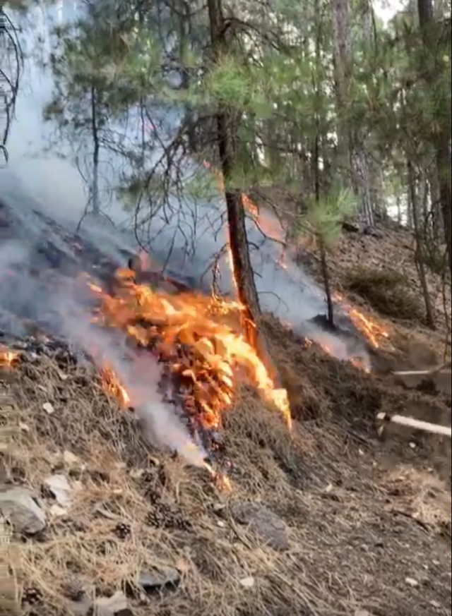 The flames are approaching residential areas! The forest fire in Denizli has not been extinguished for days