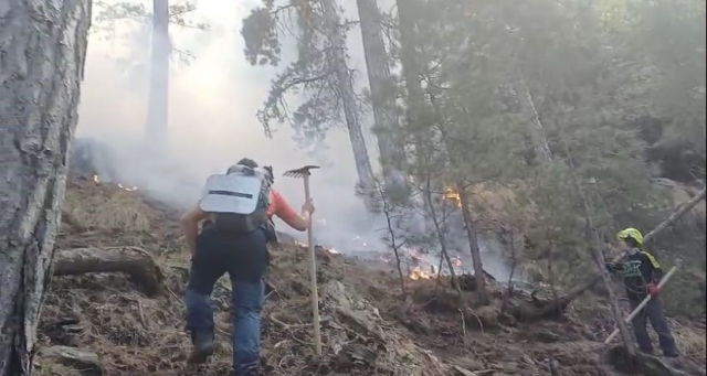 The flames are approaching residential areas! The forest fire in Denizli has not been extinguished for days