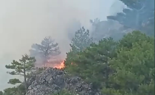 The flames are approaching residential areas! The forest fire in Denizli has not been extinguished for days