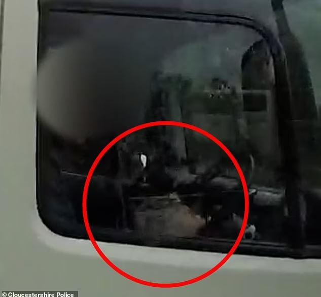 The truck driver caught by the police while eating with a spoon at high speed on the highway