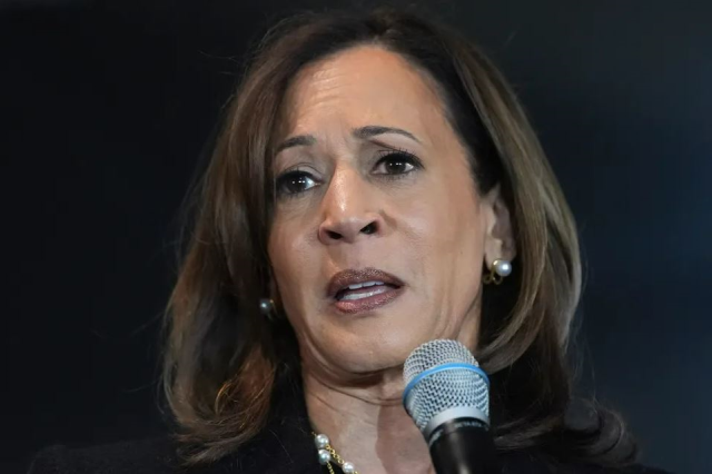 Kamala Harris disappeared after Trump's victory