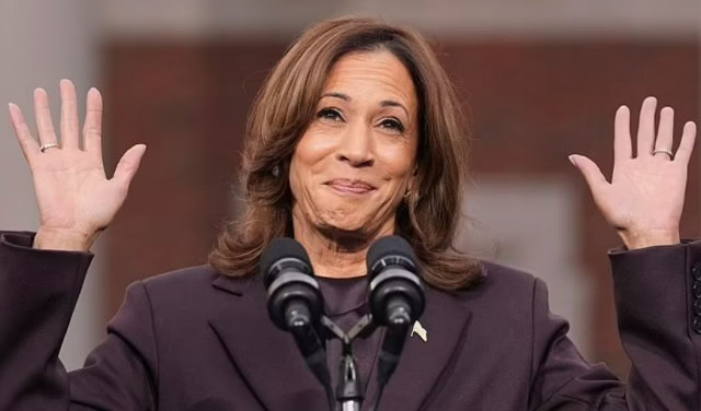 Squirrel surprise in the hall before Kamala's defeat speech