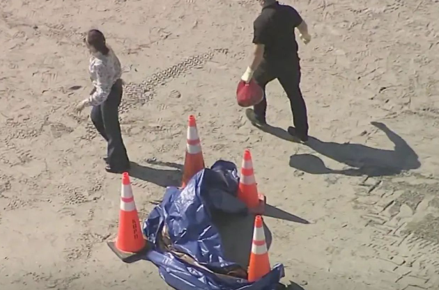 Severed human head found on the beach