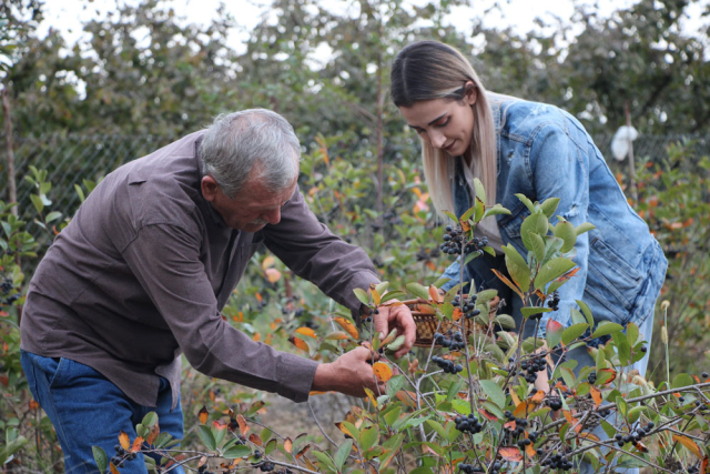 He planted for his wife's illness, now he can't keep up with orders