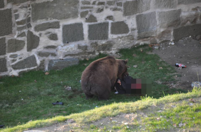 The man who was attacked by a bear at the zoo he visited was seriously injured