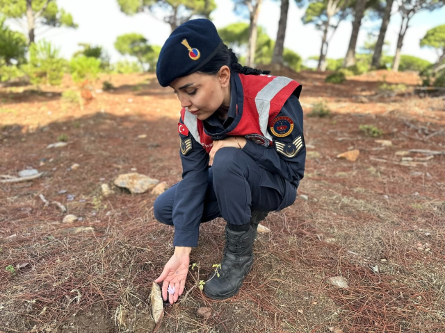 Gendarmerie is on duty, those who pick it pay a fortune