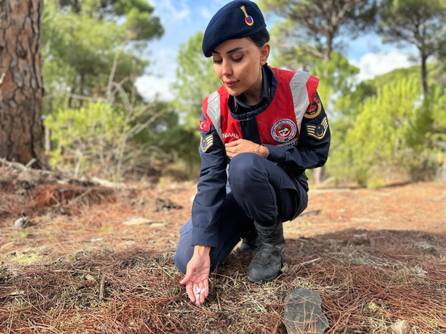 Gendarmerie is on duty, those who pick it pay a fortune