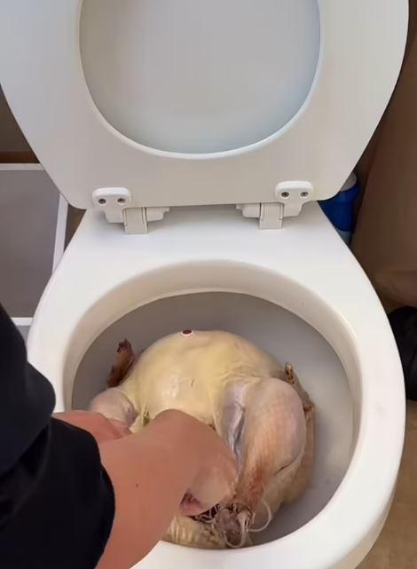 Social media influencer shocked her followers by cooking Thanksgiving turkey in the toilet