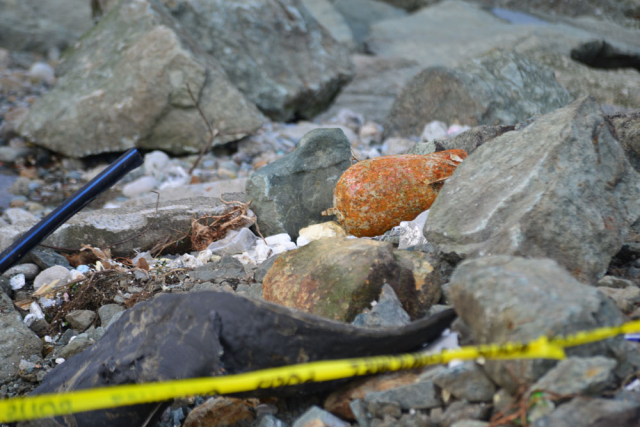 Found on the beach, teams did not allow anyone to approach