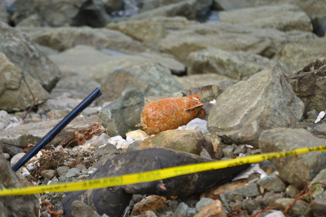 Found on the beach, teams did not allow anyone to approach