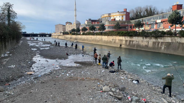 When the storm broke the salmon cage, citizens rushed to the stream