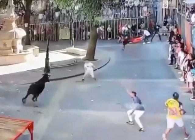 Angry bull gored the woman trying to cross the road, killing her