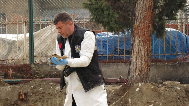 Human bones found in the garden of the Teacher's House