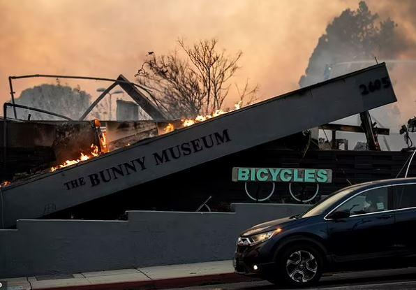 Before and after photos show the destruction caused by the Los Angeles fire