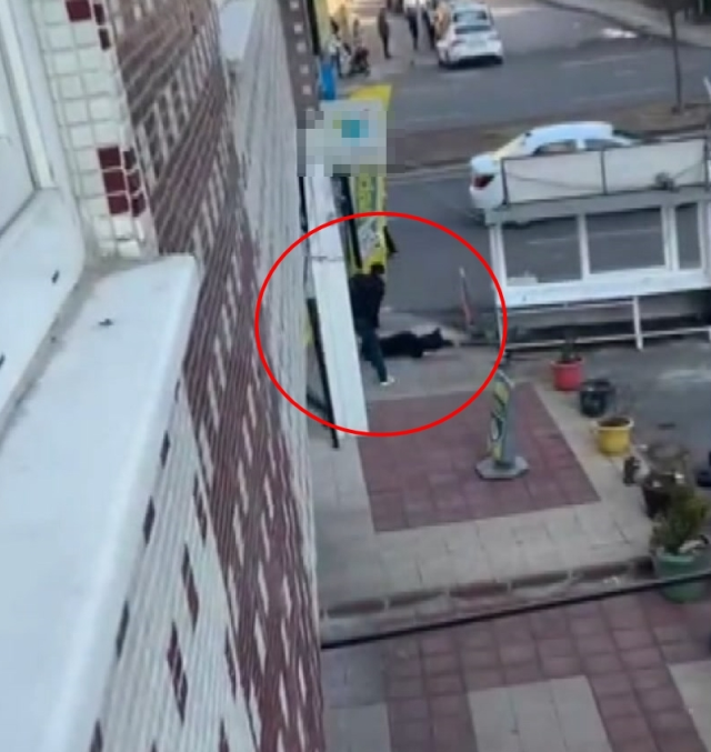 Moments of horror captured second by second on camera! Guns were drawn, the street was chaotic