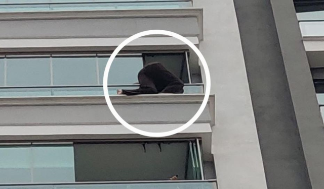 The woman lawyer in crisis on the balcony of the 12th floor shocked everyone