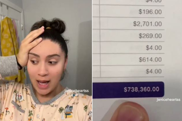 The $738,360 bill issued by the hospital for the newborn baby shocked the mother