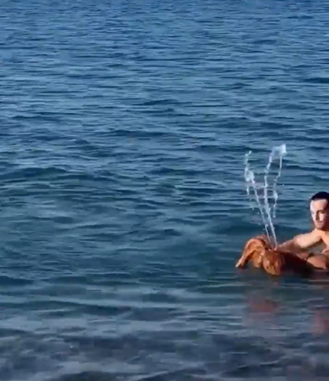 Famous model attacked by an octopus while swimming in the sea