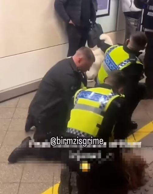 Attack on a female police officer at the train station