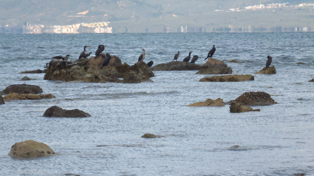 The sea receded in Balıkesir, revealing the ancient 2,500-year-old harbor