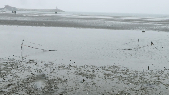 The Marmara receded, citizens walked in the sea