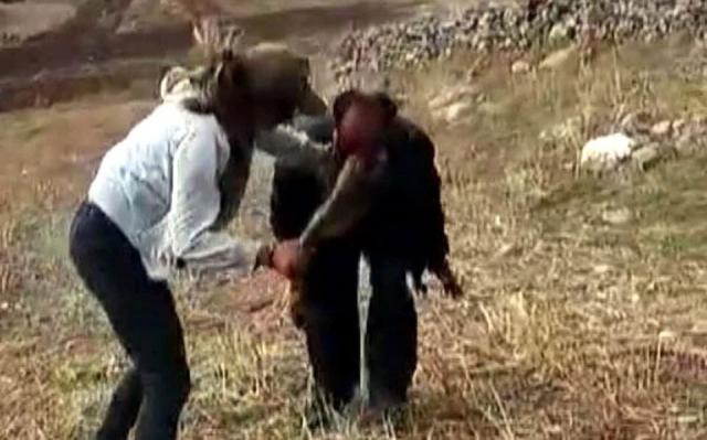 Sisters who beat the disabled shepherd with a stick were re-arrested