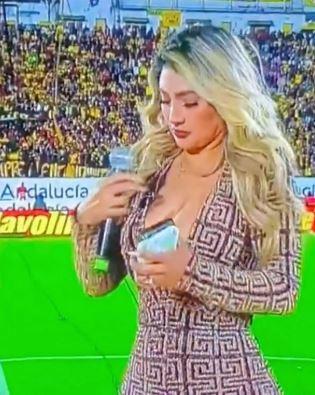 The female sports commentator drew all attention with her deep-neckline dress