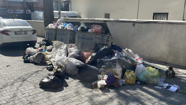 The municipality that cannot pay its workers opened its purse for Valentine's Day