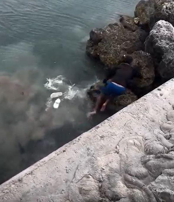 Fisherman who fell onto a shark while taking a photo narrowly escaped death