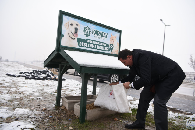 The locals in Karatay protested like this: If no precautions are taken, we will kill the dogs